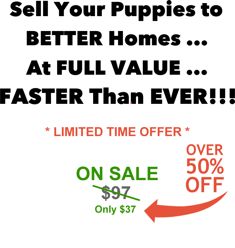 above-button-price-puppy-system