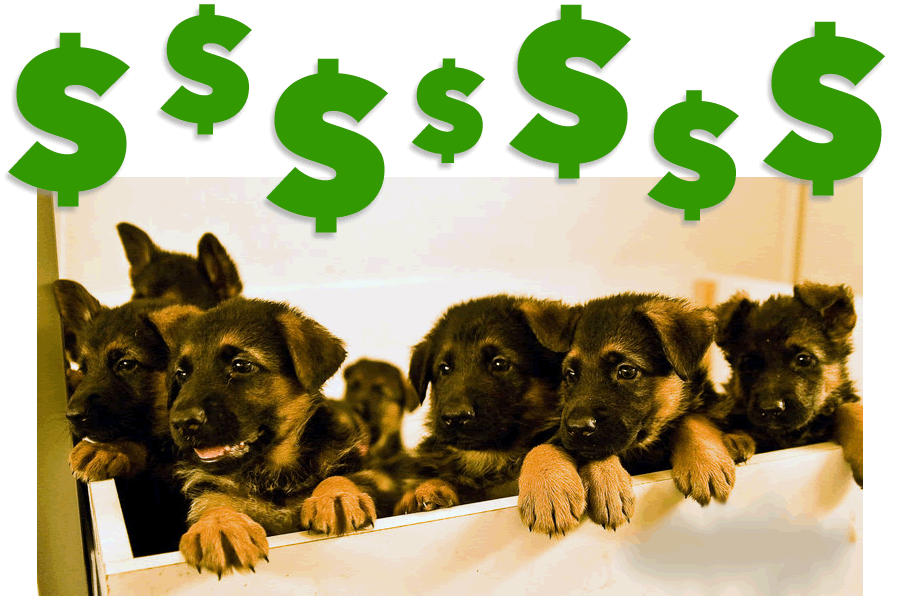 Puppy System Learn How To Sell Your Puppies Online … Fast!